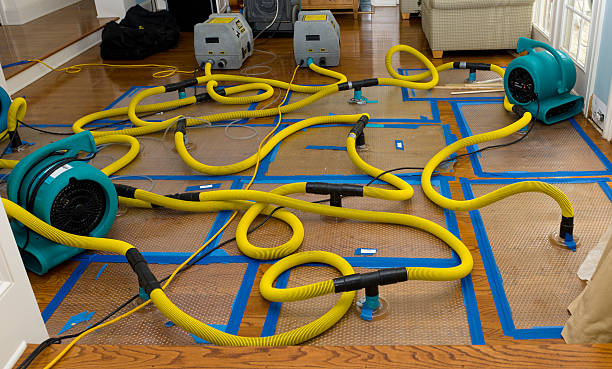 Professional Burst Pipe Water Damage technician working in Greenlawn, NY
